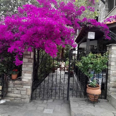 Papatzikos Traditional Guesthouse Neos Marmaras Ngoại thất bức ảnh