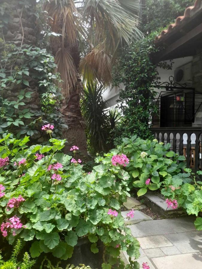 Papatzikos Traditional Guesthouse Neos Marmaras Ngoại thất bức ảnh